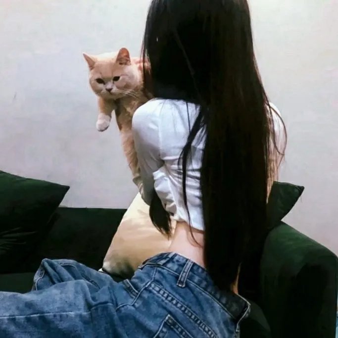 蝴蝶梦